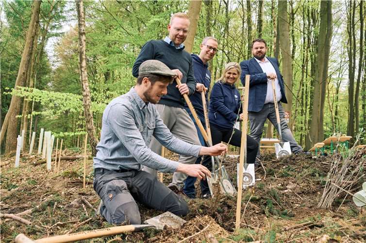 Gepflanzt wird unter fachlicher Anleitung (v.l.).: Edward Olson, Projektkoordinator SDW Bundesverband e.V., Jan-Erik Burkard, Marketingleiter der Volksbank RheinAhrEifel eG, Oliver Lilge, R+V-Filialdirektor Koblenz, Julia El Mrhanni-Primisser, R+V-Nachhaltigkeitsmanagerin Vertrieb, und Christoph Mohr, Bürgermeister Bendorf.  Copyright: Oliver Rüther