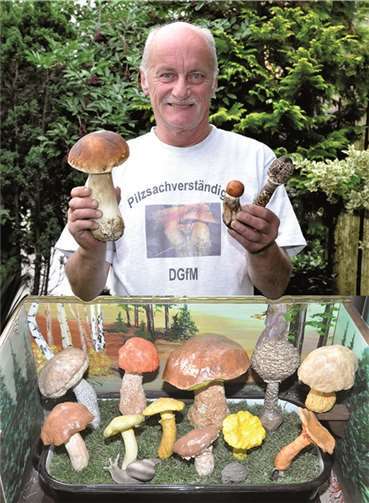 Gerd Oelschlägel präsentiert einen 400 Gramm schweren Steinpilz.BS