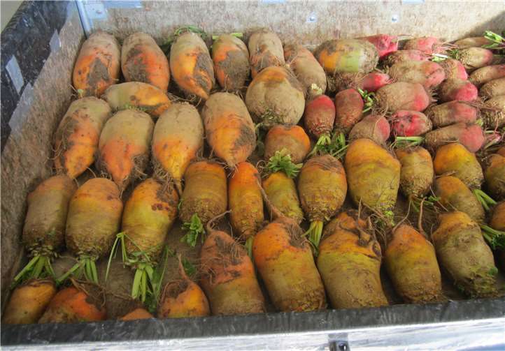 Gerhard Thome gestaltet zum achten Mal in Folge den Bollerwagen, wobei auch Kinder mithelfen können.Foto: privat