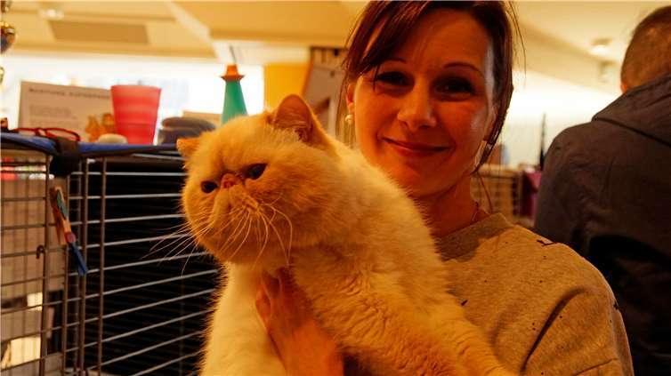 Gerne zeigen die Aussteller ihreLieblinge den interessierten Besuchern