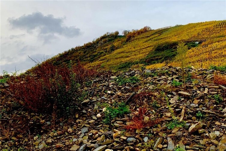 Geröllberg an der Ahr, 2023