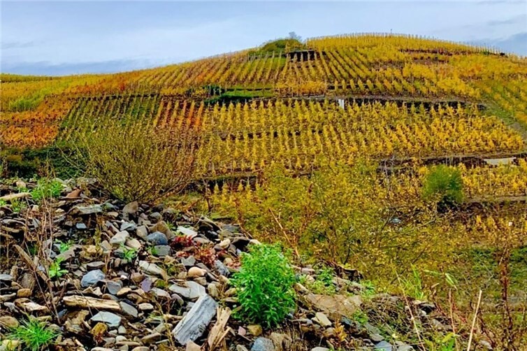 Geröllberg an der Ahr, 2023