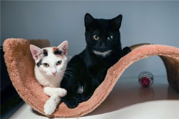Gerti und Saphira.  Foto: privat