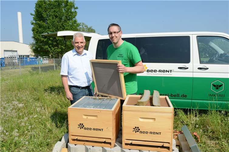 Geschäftsführer Peter Krupp und Markus Bell von Bee-Rent öffnen die Boxen und lassen die Bienen ins Freie. Fotos: CF