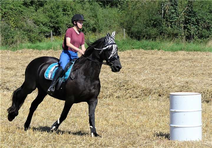 Geschicklichkeit und Geschwindigkeit von Reiter und Pferd waren beim Wettbewerb Barrel-Race (Fassrennen) gefragt.  Fotos: TE