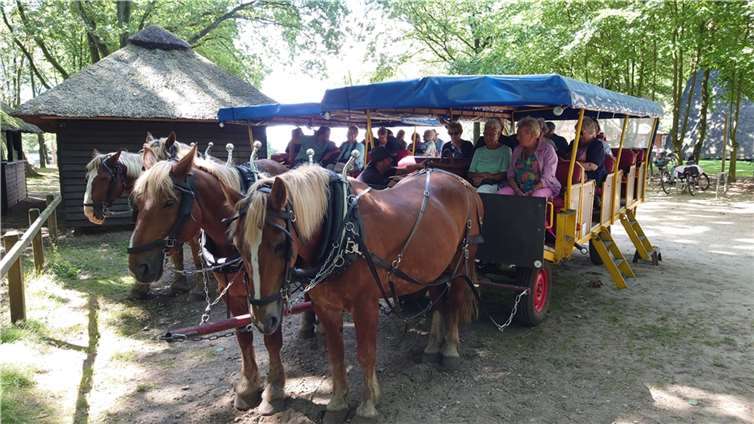 Gespannt erwarten die Teilnehmer der Senioren-Union Andernach die Kutschfahrt durch die blühende Heidelandschaft. Foto: Richard Welter