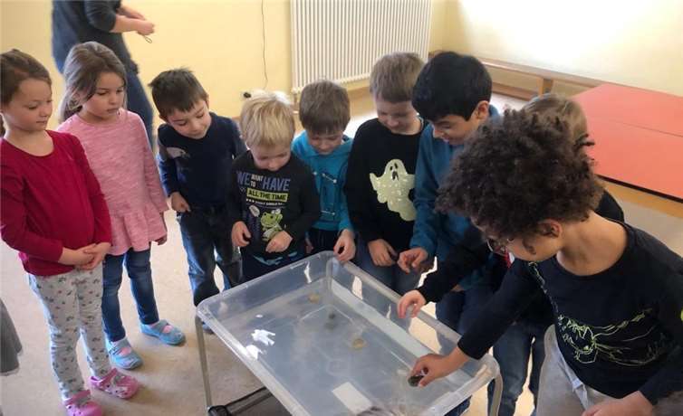 Gespannt experimentierten die Kinder zum Thema „Schwimmen und Sinken“. Foto: privat