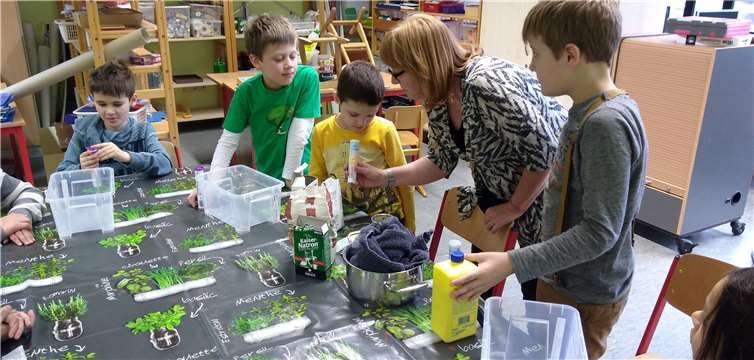 Gespannt verfolgen die Schüler den Ausführungen von Frau Prinz.