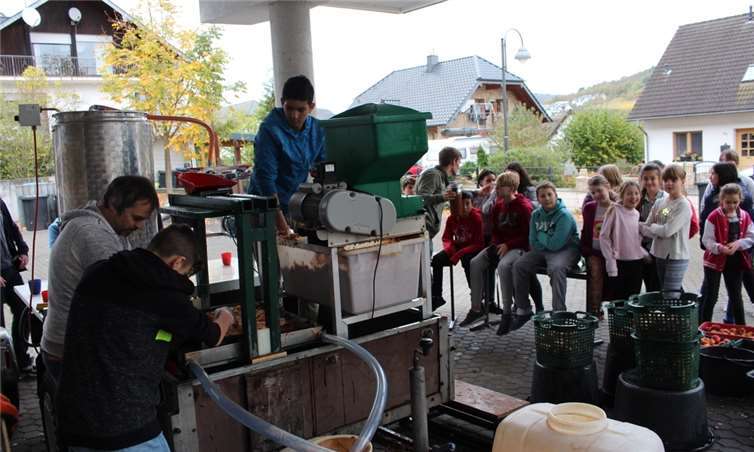 Gespannt verfolgten die Besuchsklassen, wie ihre engagierten Mitschüler aus der Klasse 8c vor ihren Augen den goldenen Fruchtsaft herstellten.  Realschule plus und FOS Untermosel