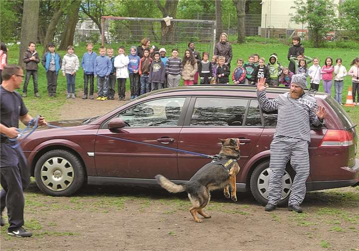 Gespannt verfolgten die Schüler die Darbietung der Hunde. Privat