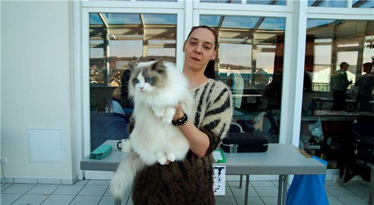 Gespannt warten Katze undFrauchen auf den Bewertungsbogen.