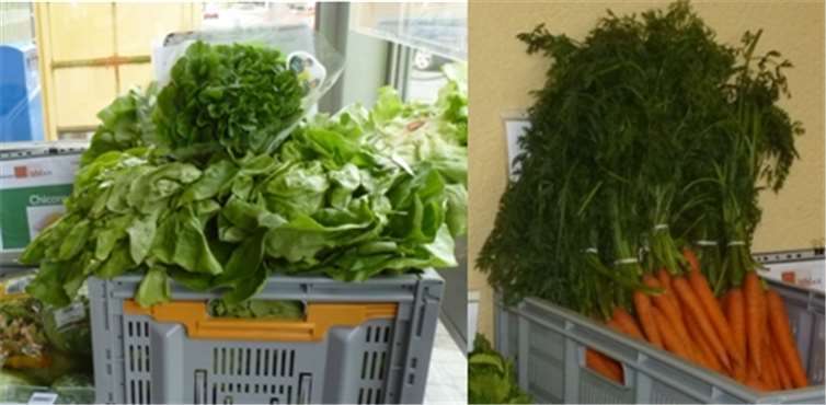 Gesundes Gemüse von der Tafel: Salat und Möhren, ein Teil des Angebotes. privat