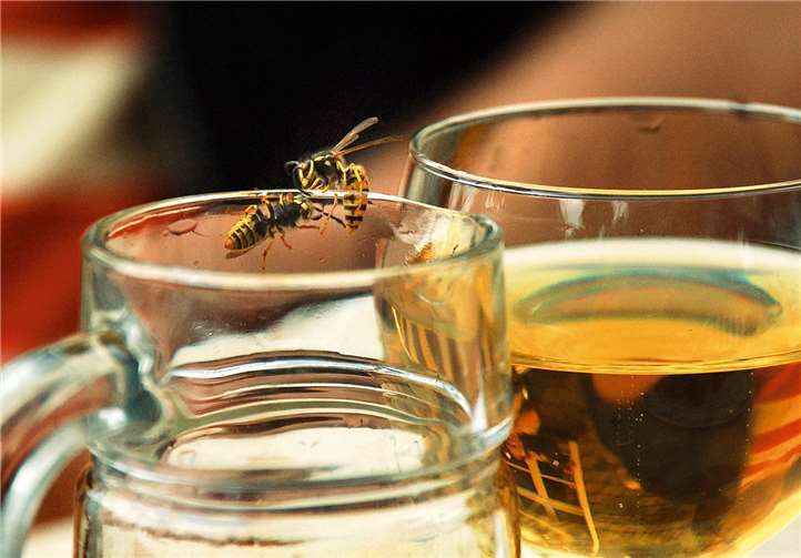 Getränke sollten im Freien am besten abgedeckt werden, um sie vor Wespen oder Bienen zu schützen.Foto: AOK-Mediendienst/Jürgen Theobald