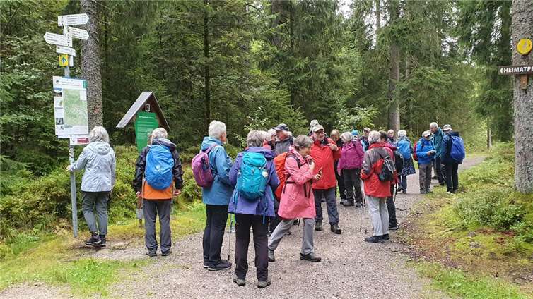 Gewandert wurde in zwei Gruppen.  Foto: privat