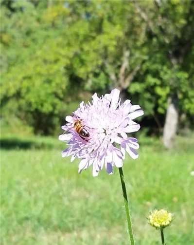 Gewinnerfoto „Kids“.Foto: Jonas Horst