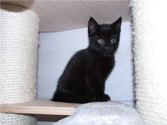 Giolina.  Fotos: privat