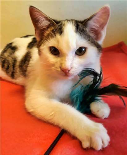 Gisbert. Foto: privat