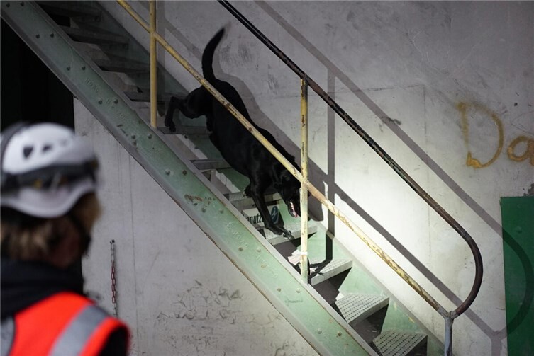 Gittertreppen sind kein Problem.