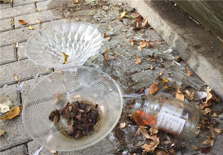 Glasgefäße werden einfach auf den Boden gestellt. Privat