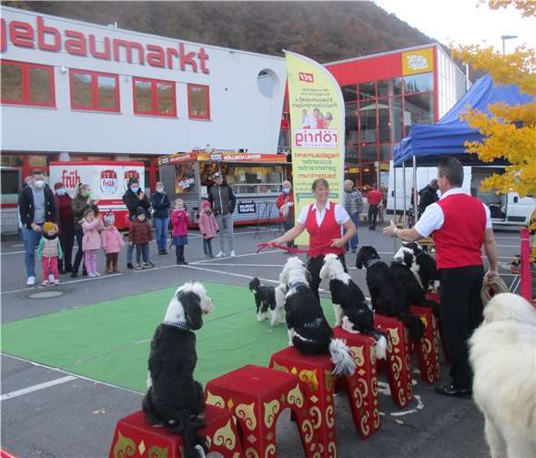 Gleich dreimal präsentieren die international bekannten „Igen´s“ die Hunde-Shows mit freiem Eintritt beim röhrig-Familien-Sonntag. Foto: privat