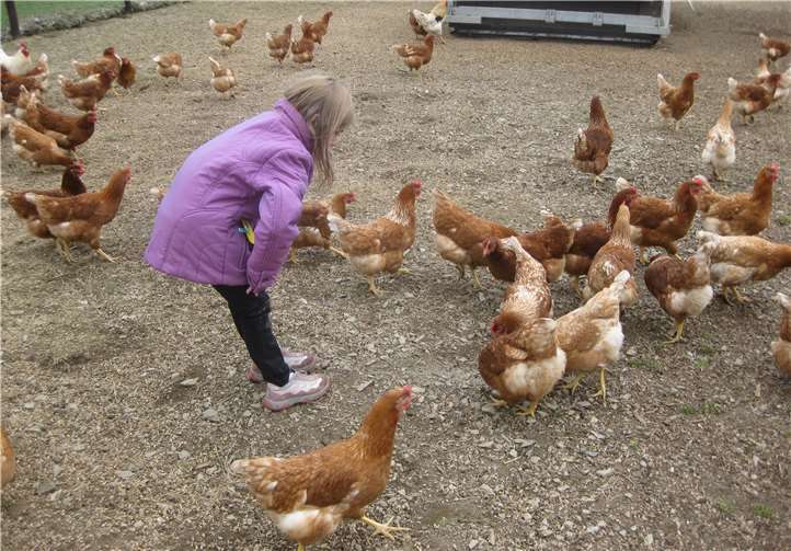 Vorfreude auf die Osterferien Gleich mehrere Veranstaltungen im Rahmen des Ferienprogramms befassen sich mit Themen rund um die Natur. Jugendbüro Altenahr