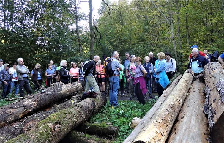 Gleich zu zwei Herbstwanderungen durch das reizvolle Buchfinkenland lädt der Westerwald-Verein im Oktober und November ein.Foto:Westerwald-Verein