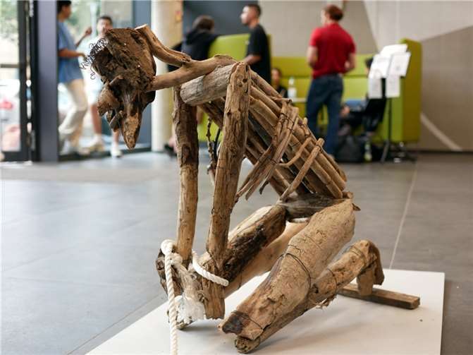 Gleiche Rechte für alle: Der Tag der Menschenrechte am Hilda-Gymnasium.  Quelle: Hilda-Gymnasium
