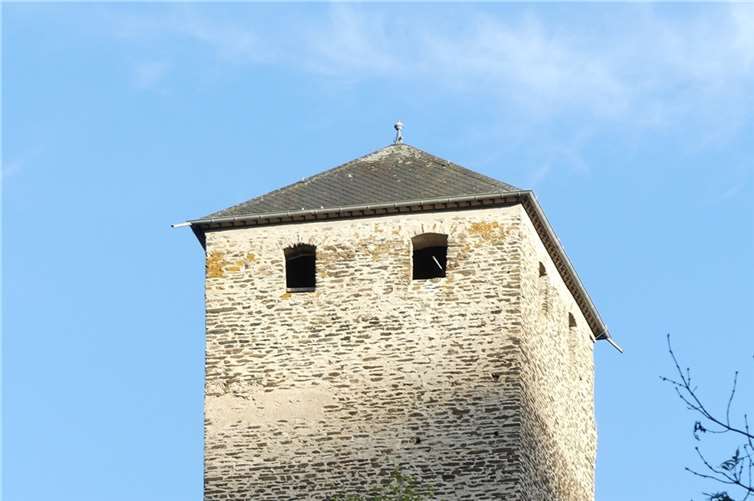 Burg Treis und Wildburg werden Eigentum von Treis-Karden Gleiches gilt für die vorgelagerte Burg Treis und die dazugehörigen Waldgebiete.