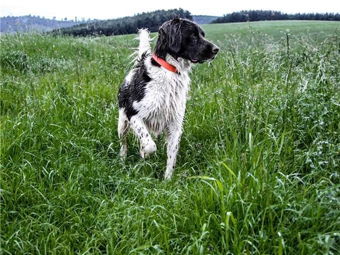 Graue Regentage müssen nicht automatisch schlechte Laune und Langeweile bedeuten.  Quelle: Pixabay