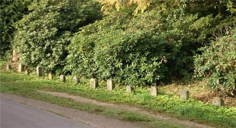 Grenzsteine in Buschhoven. Foto: Verein Zehnthaus