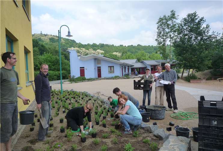 Groß und Klein halfen am Pflanztag in der Waldorfschule Neuwied.privat