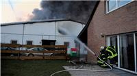 Großbrand in der Halle eines KFZ-Handels und Zubehörbetriebes