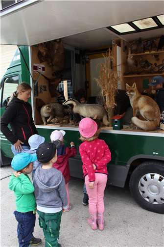 Große Augen bei den Tierpräparaten.