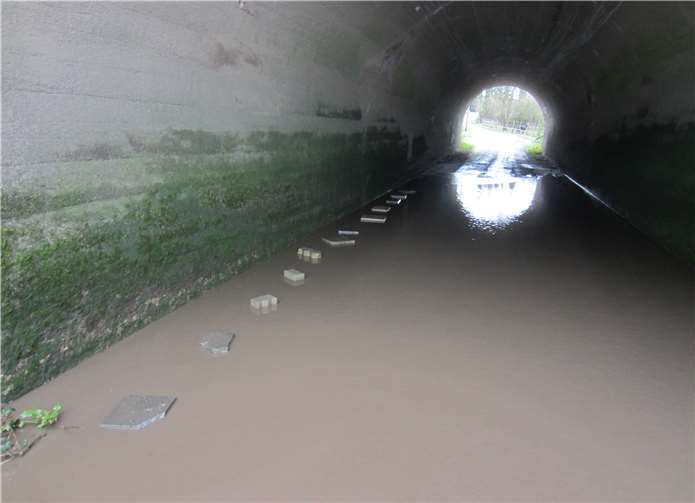 Große Wassermengen haben sich unter der Kronprinzenbrücke gesammelt. privat
