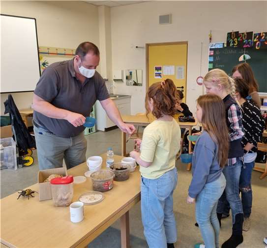 Große und kleine Modelle gab es zu bestaunen.