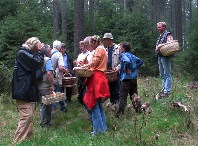 Großer Beliebtheit erfreuen sich die Pilzwanderungen in Vulkanregion Laacher See. Aufgrund der großen Nachfrage findet am 27. Oktober wieder eine Führung in der Verbandsgemeinde Brohltal statt. Foto: Tourist-Information Laacher See