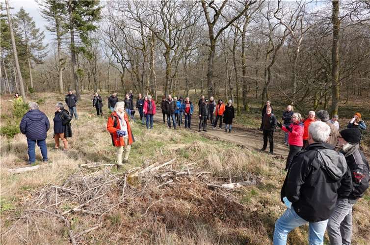 Grünen - Sprecherin Jutta Dietz beantwortete Fragen zu der Maßnahme. Foto: Bündnis 90/Die Grünen, OV Brohltal