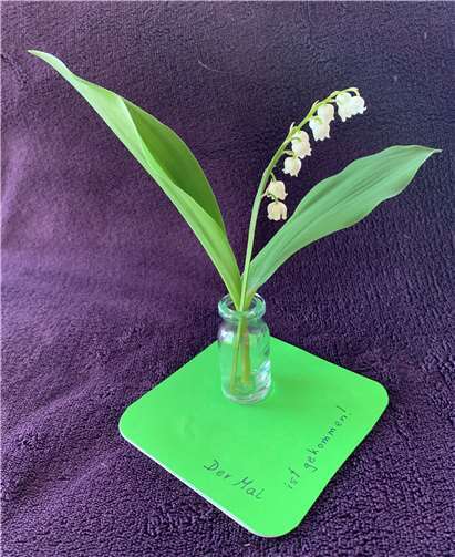 Gruß im Mai. Foto: Dorftreff Rodenbach