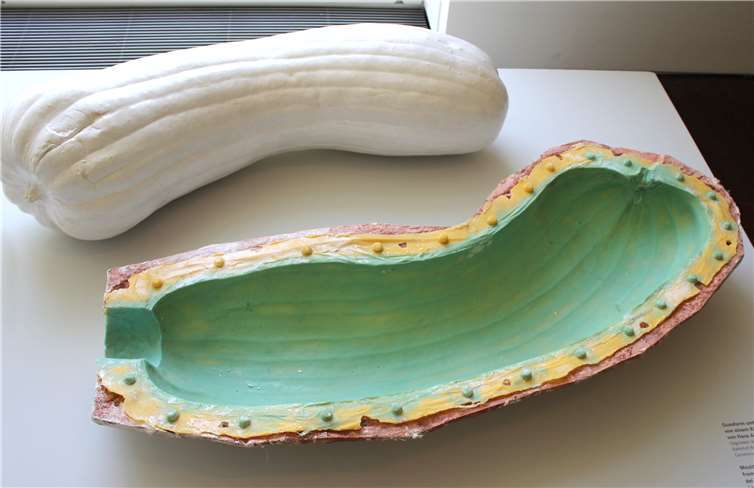 Gussform und Gipsguss eines Kürbisses aus Hans Arps Garten in Ronco dei Fiori, Locarno.