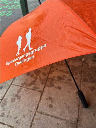 Gut ausgerüstet waren sie mit den gespendeten Regenschirmen. Und der Aufdruck „Spaziergangsgruppe Oedingen“ verriet auch, wer da unterwegs war. Foto: Olaf Wulf
