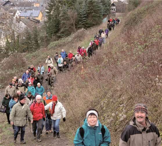 Gut gelaunte Wander- und Weinfreunde beim Aufstieg in den Königinnenwingert.privat