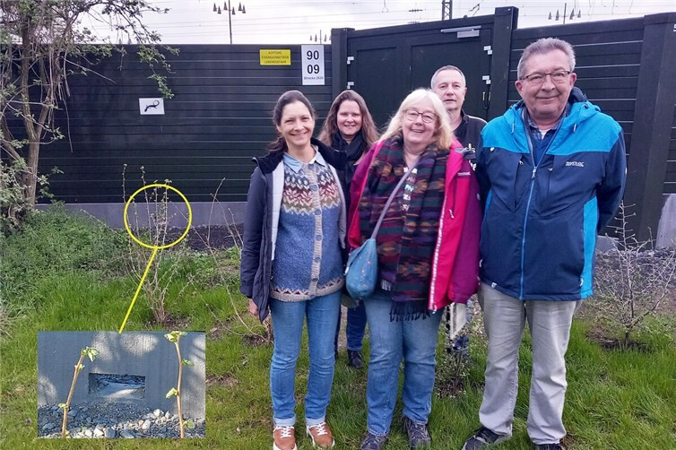 „Gut gemacht“ Amphibienschutz am Bahngleis