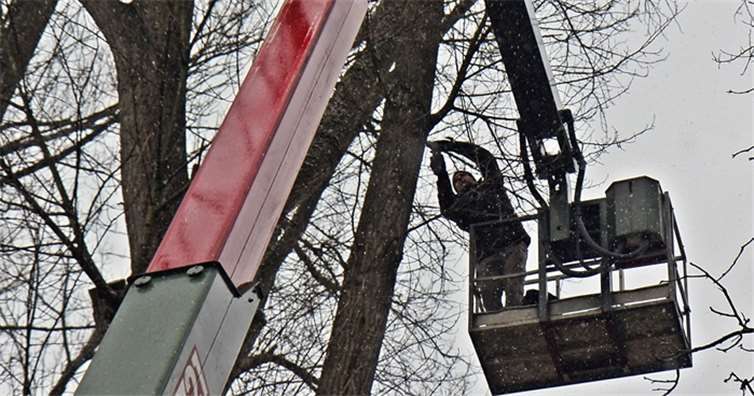 Gutachter Christoph Schreiber bei der Untersuchung der Pappeln auf dem Fachbacher Campingplatz.Willi Willig