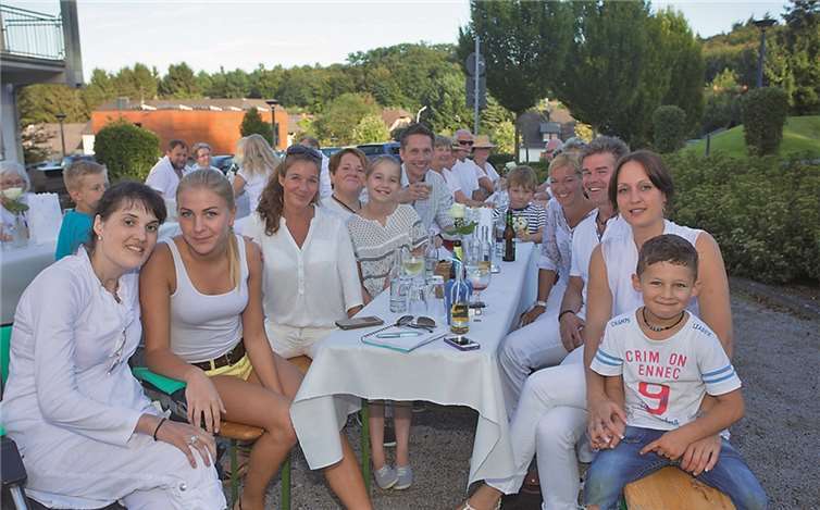 Gute Laune, tolles Wetter und ein schönes Ambiente waren die Zutaten für ein gelungenes Picknick. WT