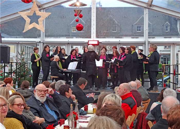 Gute Laune und weihnachtliche Stimmung verbreitete der Chor TON in TON. Foto: privat