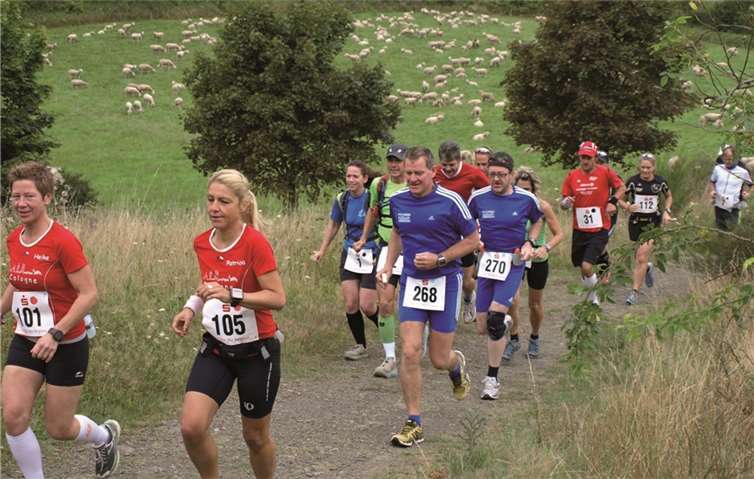 Gute Stimmung und schöne Landschaften prägen den Lauf um Altenahr.privat