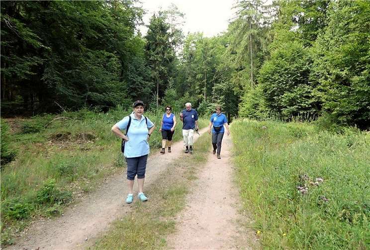 Guten Mutes und gut zu FUß: die Wanderfreunde Ebernhahn in der PFalz. Foto: privat