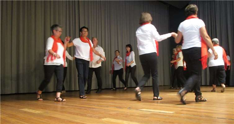 Gymnastik und Tanzen sorgen auch bei Senioren für Fitness. Foto: privat