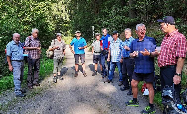 HSC-Senioren bei ihrer Wanderung durch das Kaulenbachtal. Fotos: privat