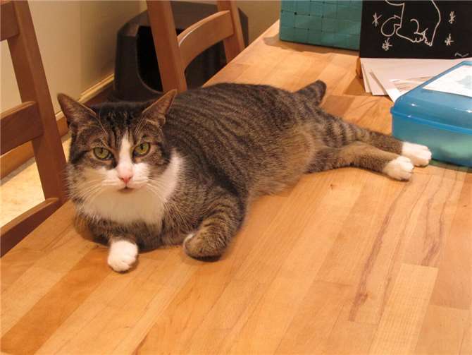 Hadley. Fotos: privat